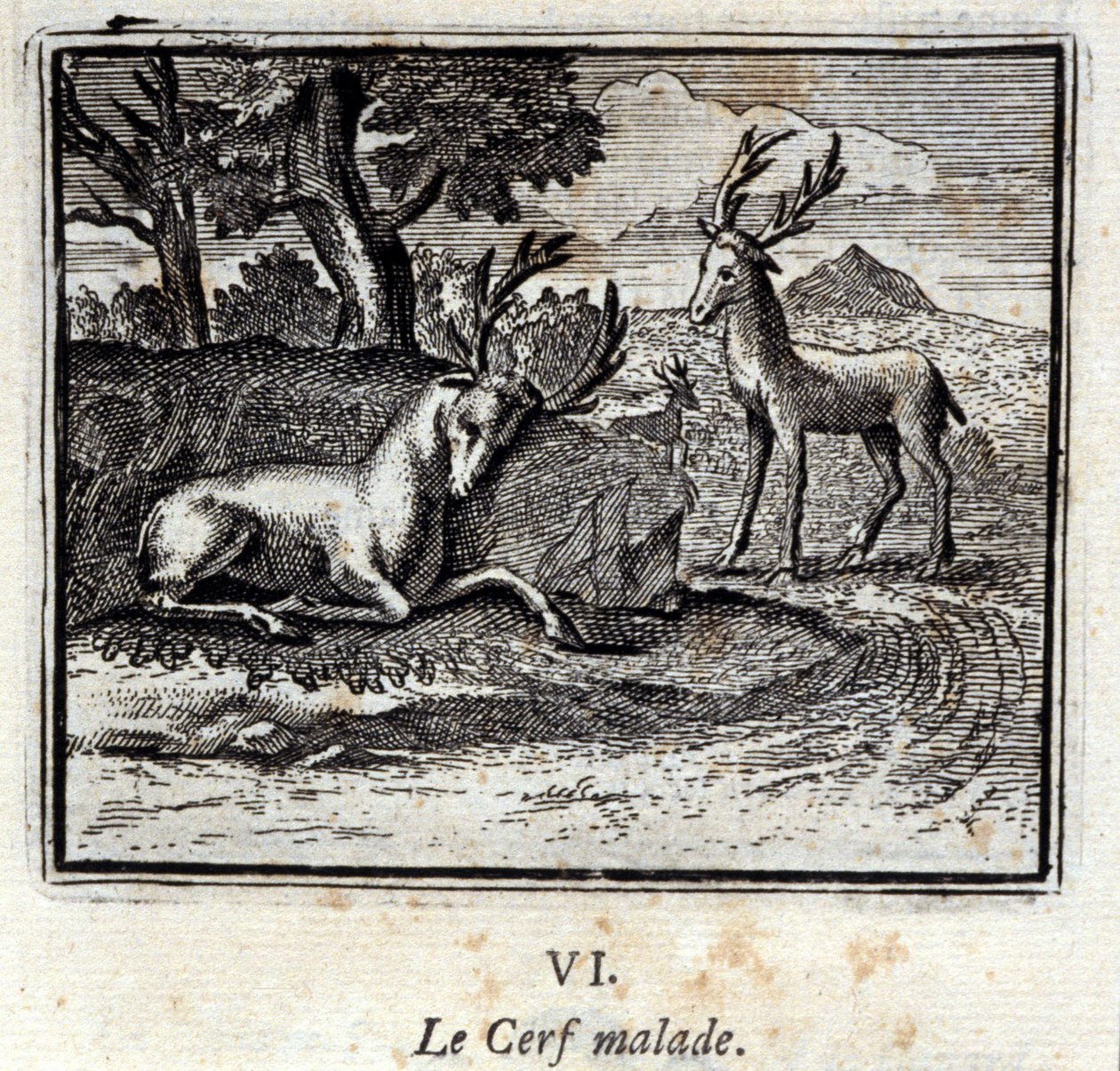 Il cervo malato. Favole di Jean de La Fontaine (1621-95). Illustrazione di François Chauveau (1613-1676). Edizione del 1728 da Francois Chauveau