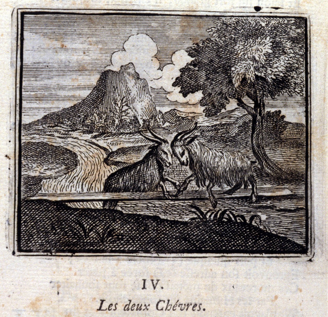 Le due capre. Favole di Jean de La Fontaine (1621-95). Illustrazione di François Chauveau (1613-1676). Edizione del 1728 da Francois Chauveau