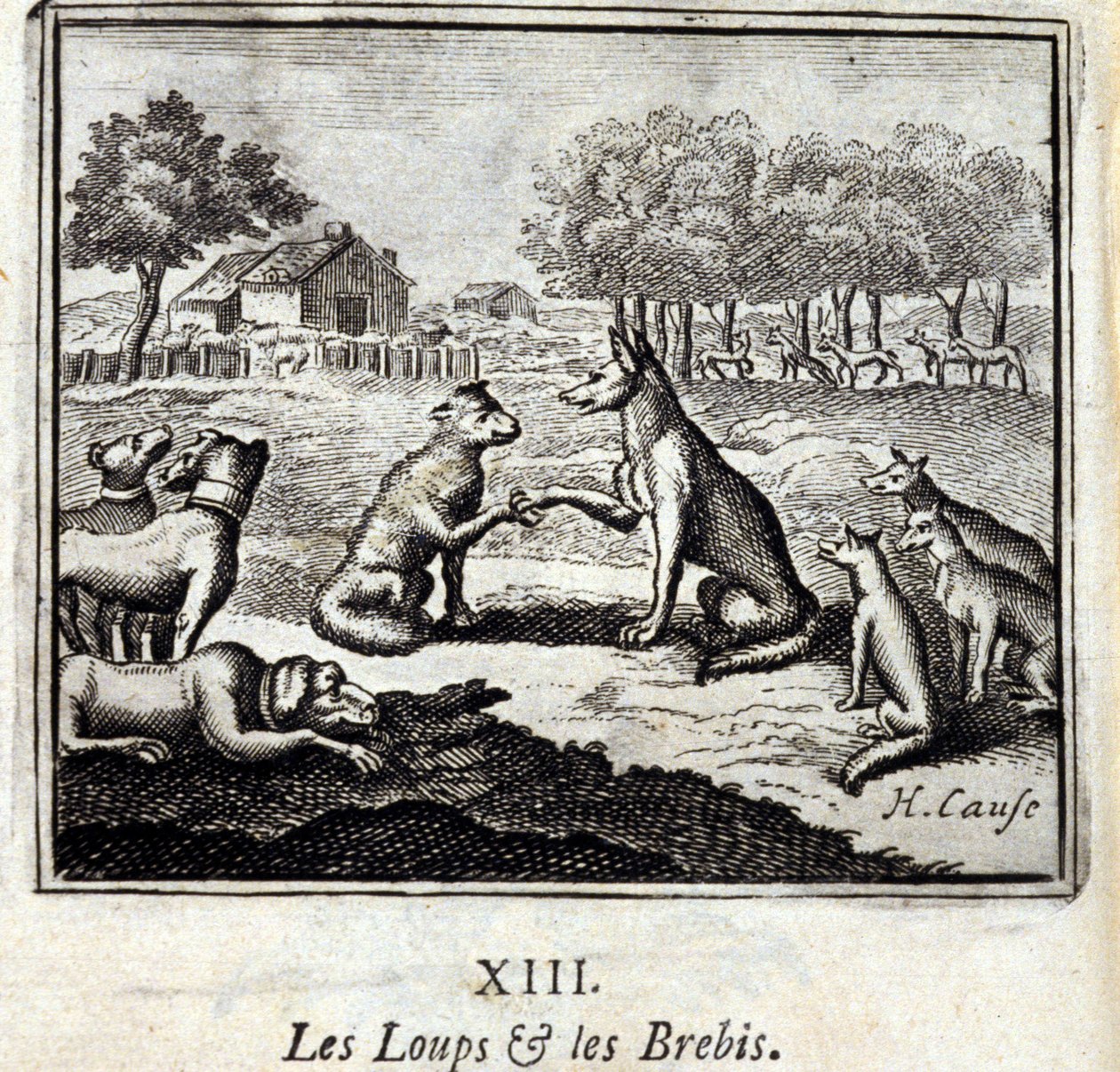 Lupi e pecore da Francois Chauveau