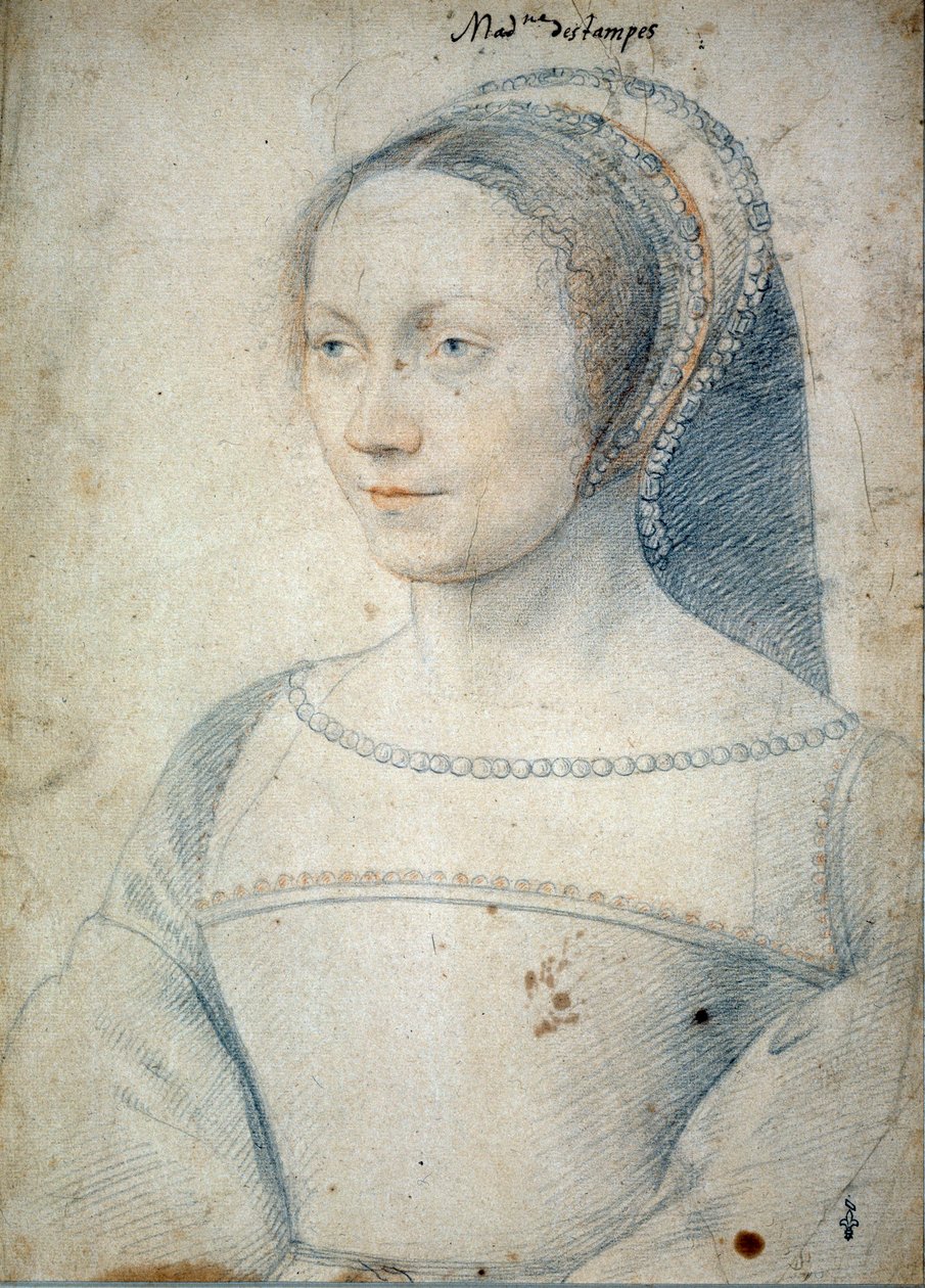 Ritratto di Anna di Pisseleu, moglie di Jean de Brush, Duchessa di Etampes (1508 - 1576). Disegno con pietra nera e sanguigna di Francois Clouet (1515-1572) da François Clouet