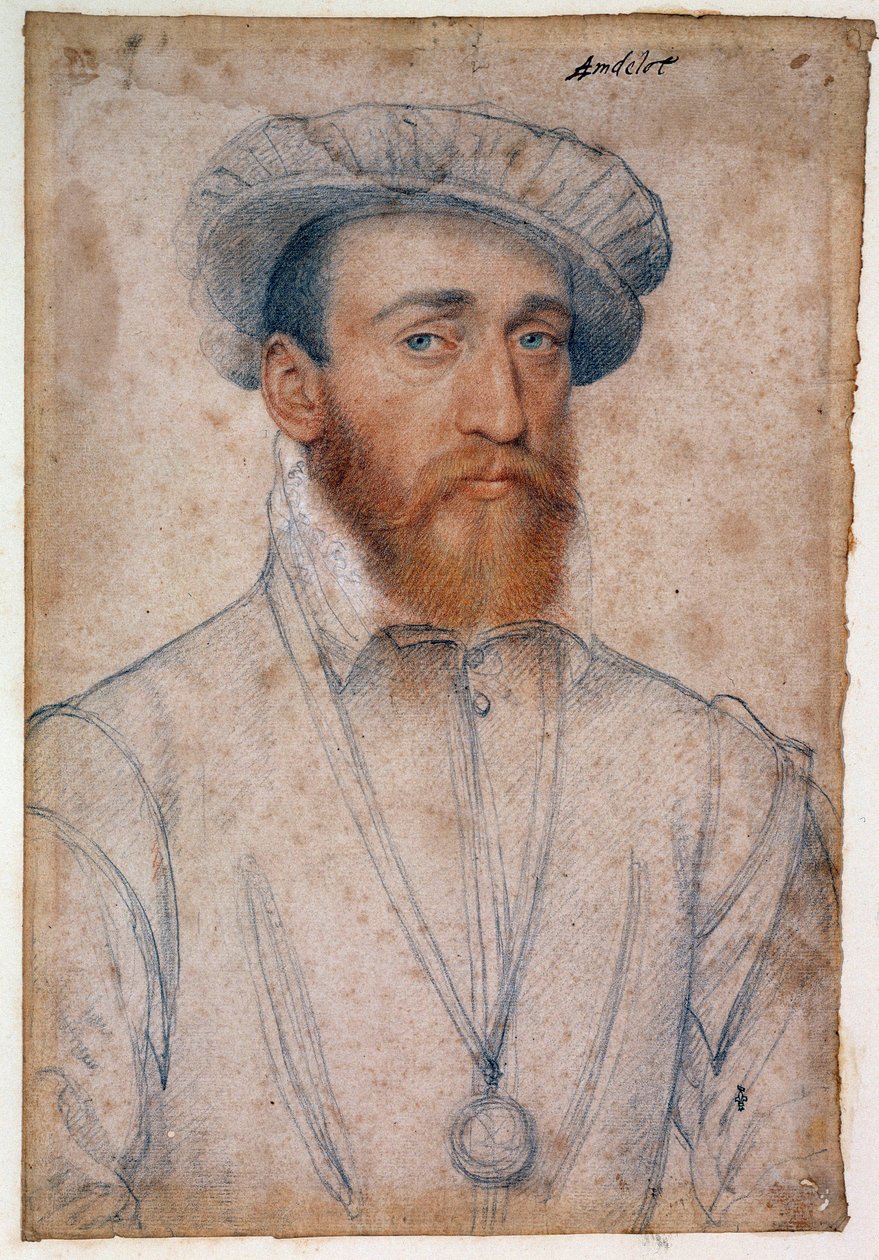 Ritratto di Francesco di Coligny, signore di Andelot (1521 - 1569). Disegno a sanguigna e pietra nera di François Clouet (1515-1572) da François Clouet