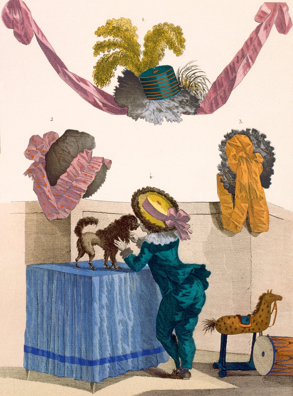 Disegni per cappelli, inciso da Dupin, tavola n.325 da 