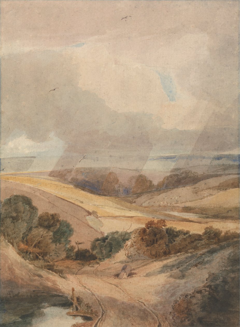 Mousehold Heath, Norwich da Francois Louis Thomas Francia