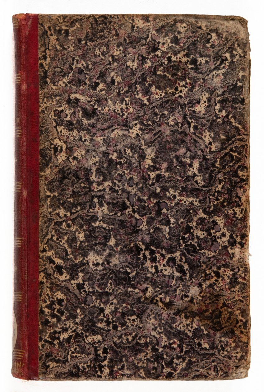 Genio del Cristianesimo, 1802 da Francois Rene Vicomte de Chateaubriand