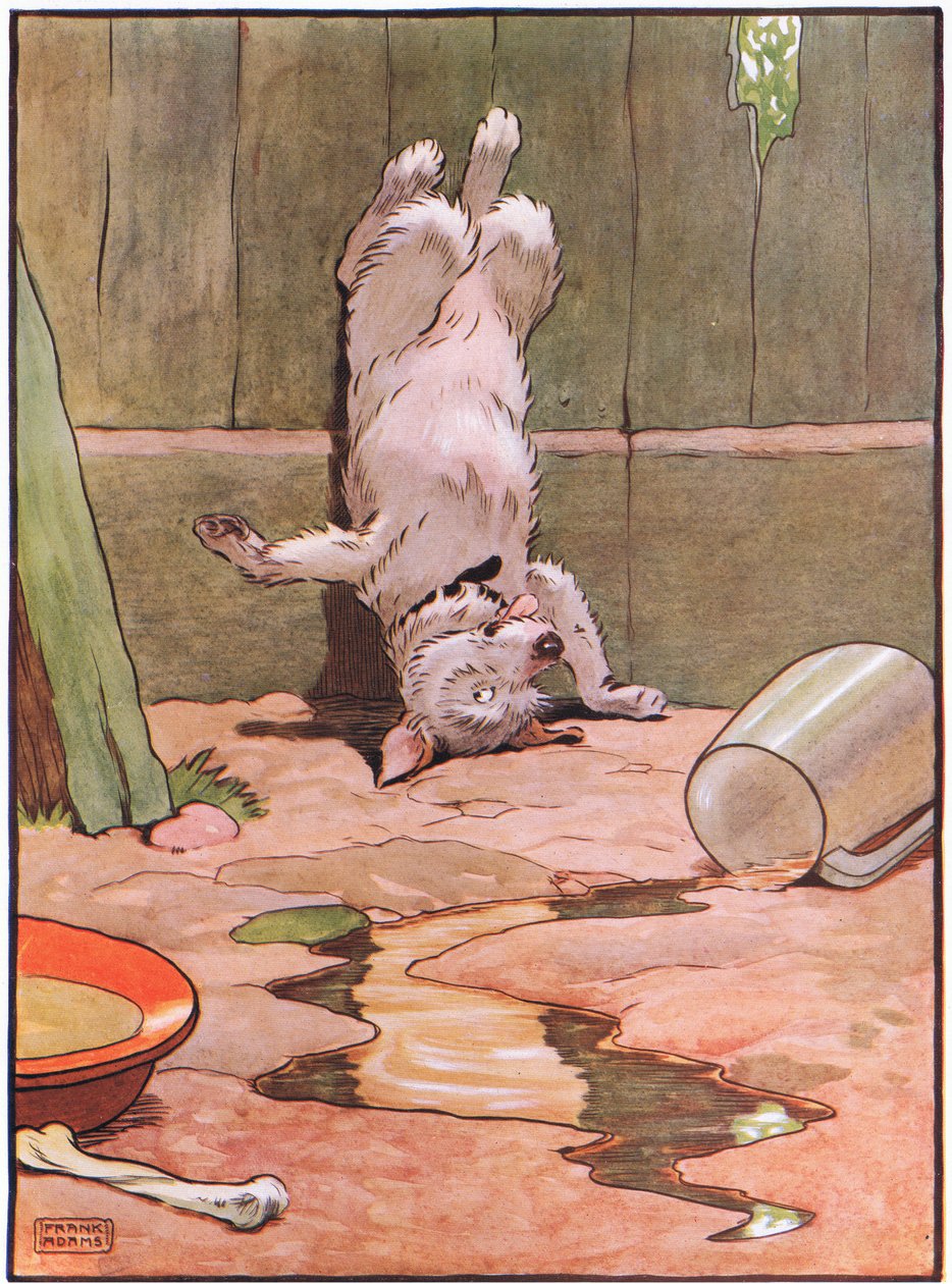 Il cane stava sulla testa, anni 
