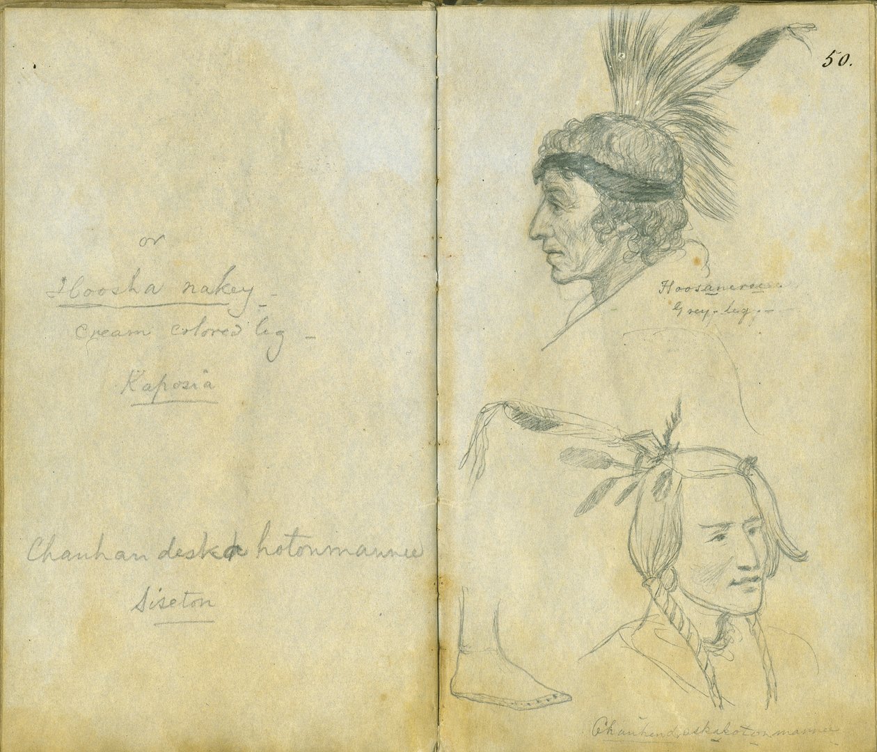 Ritratti di Grey Leg e di un uomo Sisseton non identificato, 1851 da Frank Blackwell Mayer