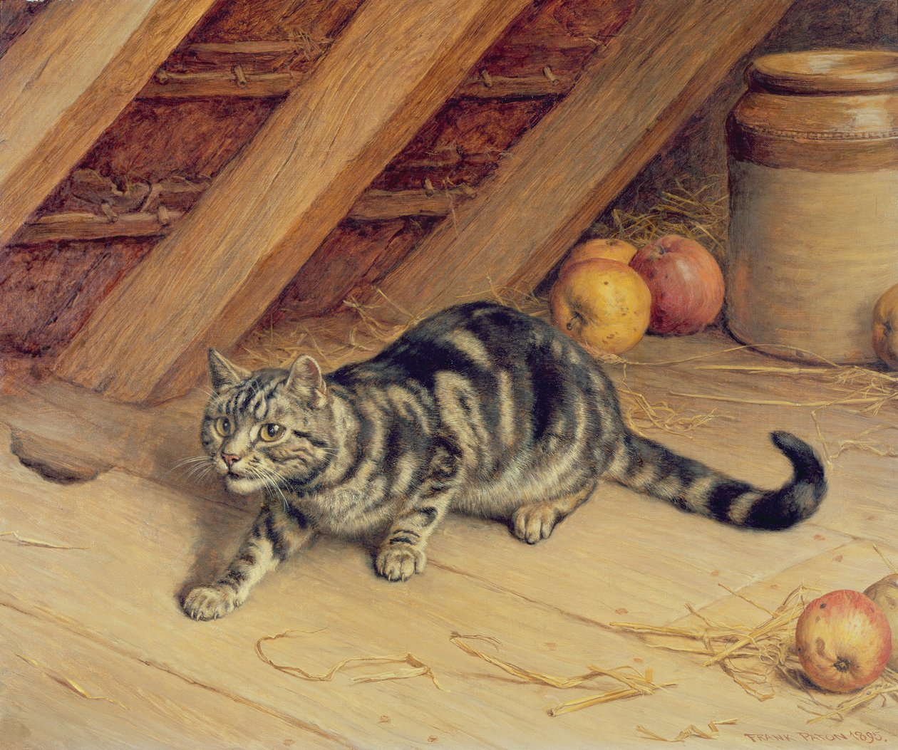 Allerta da Frank Paton
