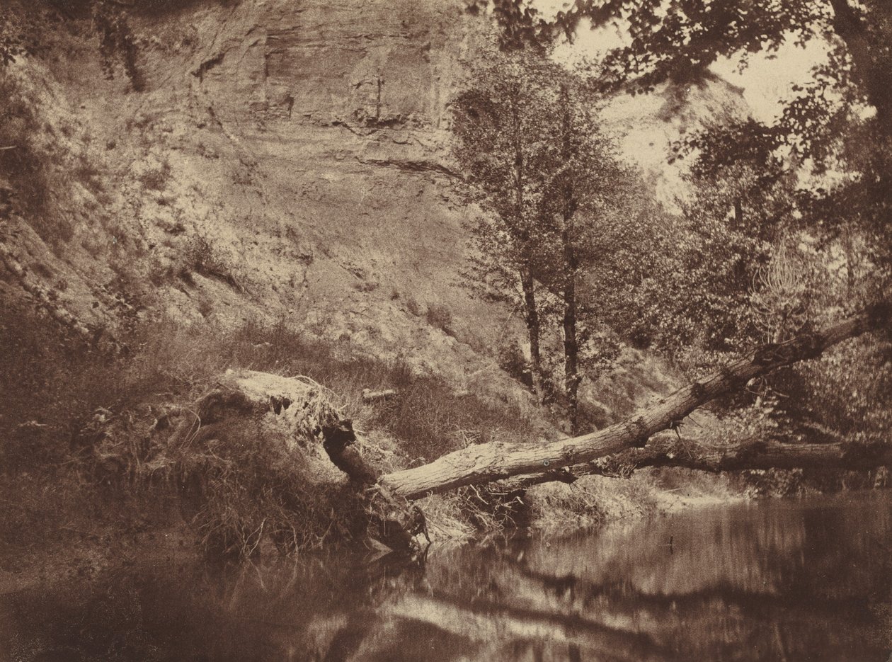 Riva del fiume, c. 1855 (foto) da Frank Chauvassaigne