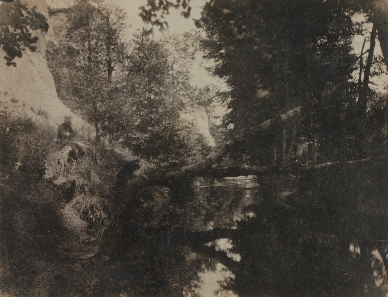 Paesaggio con figura seduta sulla riva di un ruscello da Frank Chauvassaignes