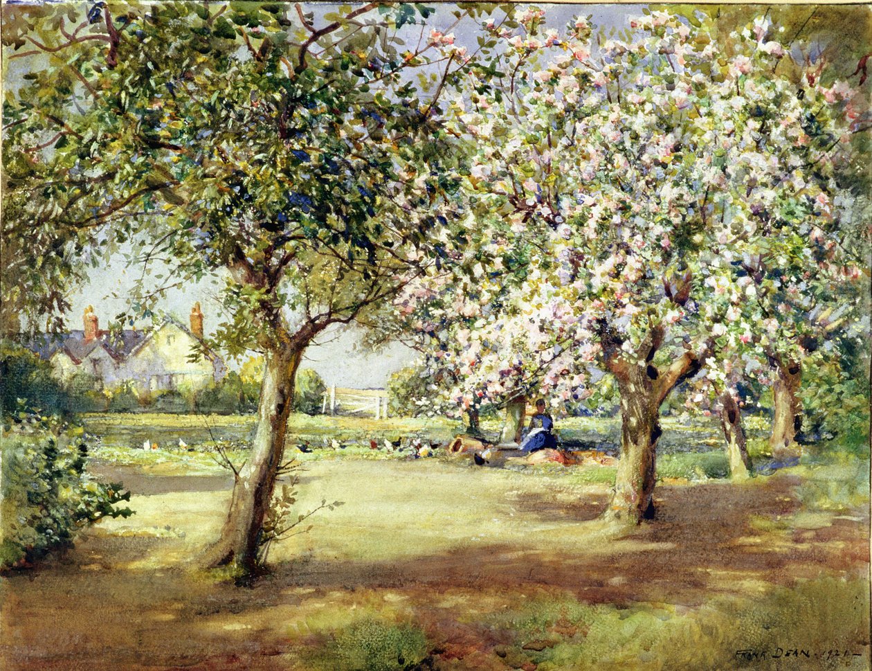 Giorni di fioritura da Frank Dean