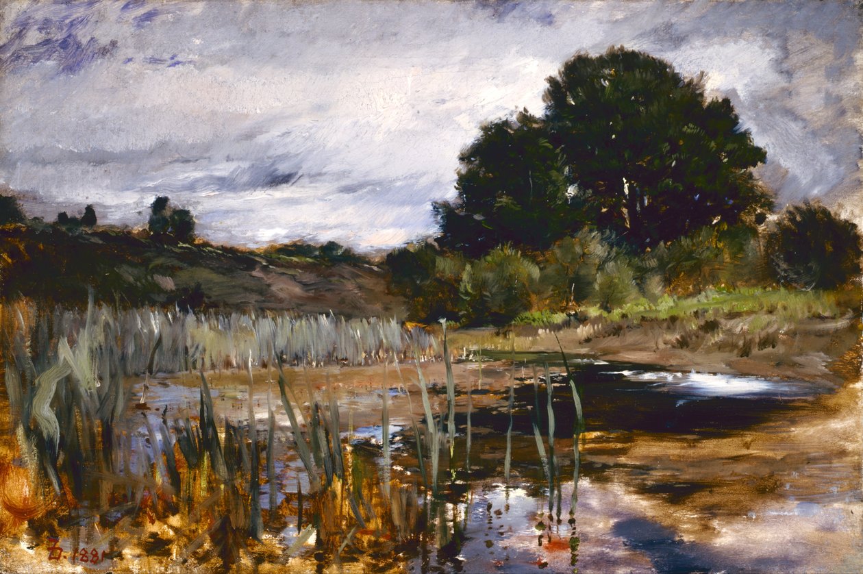 Paesaggio elettorale da Frank Duveneck