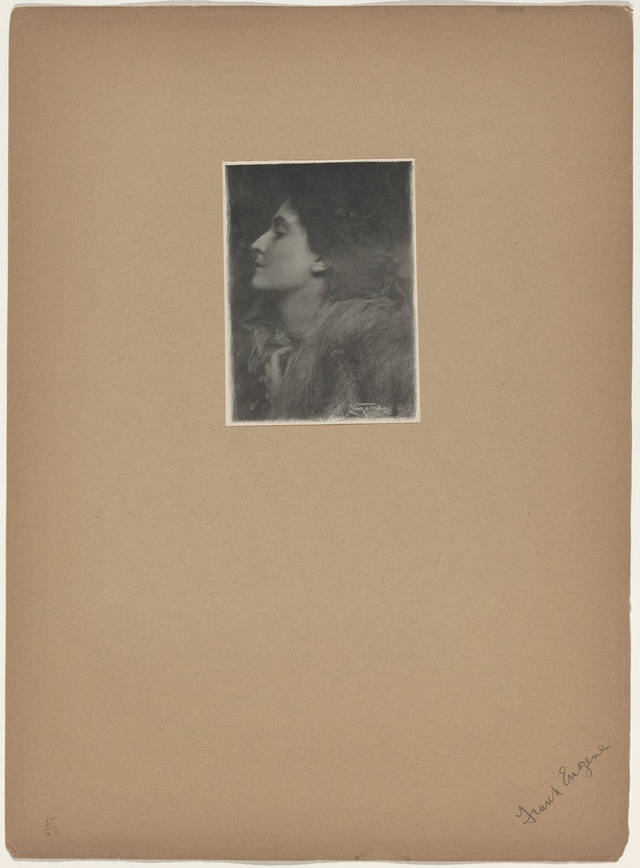 Signora di Charlotte, 1901 (foto) da Frank Eugene