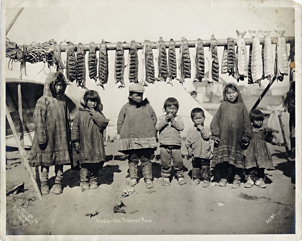 Sotto la fila di salmoni da Frank H. Nowell