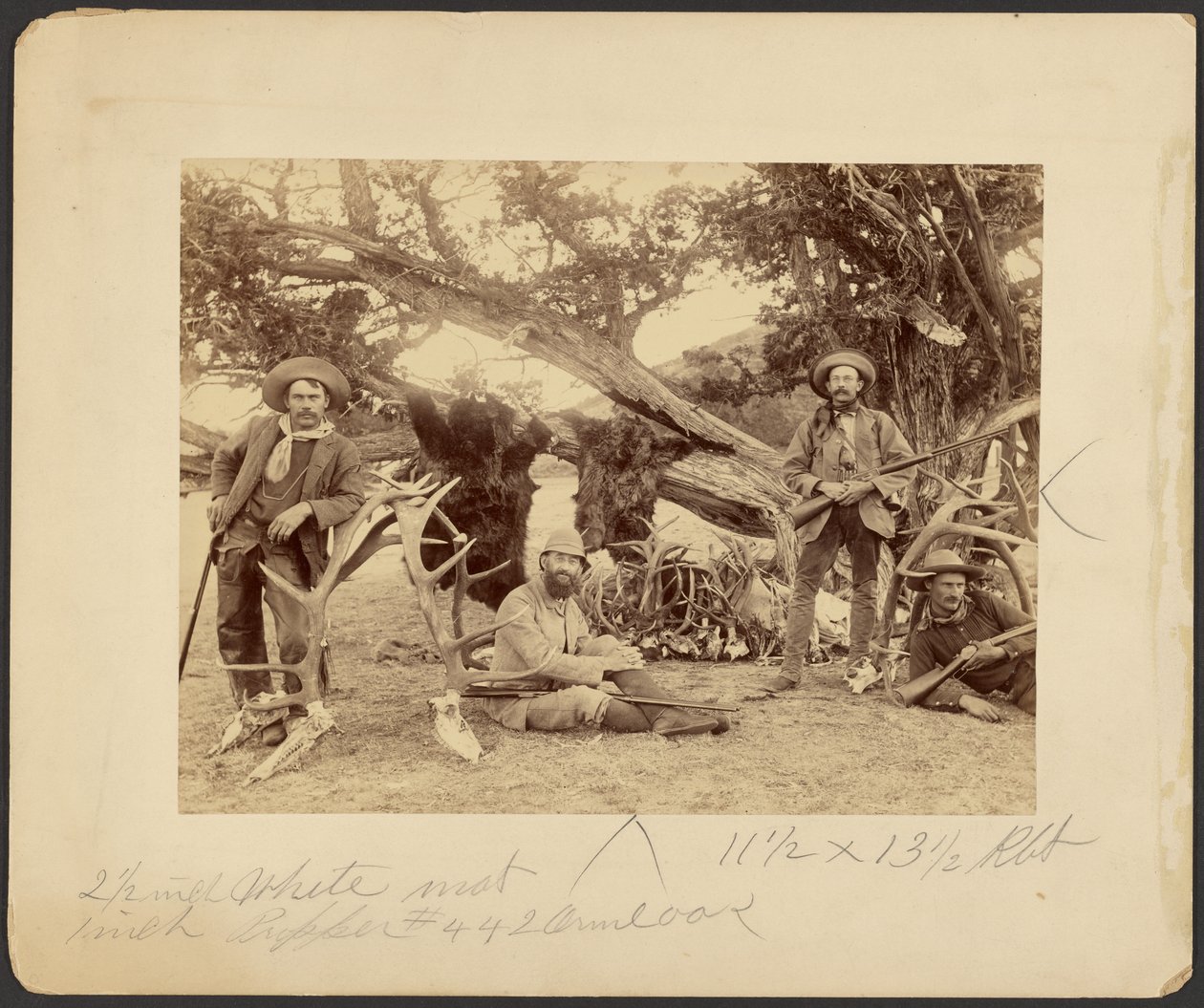 Festa di Lispenard Stewart, #6 - 5th Ave., N.Y. con trofei presso un vecchio cedro, Mammoth Hot Springs, Parco Nazionale di Yellowstone da Frank Jay Haynes