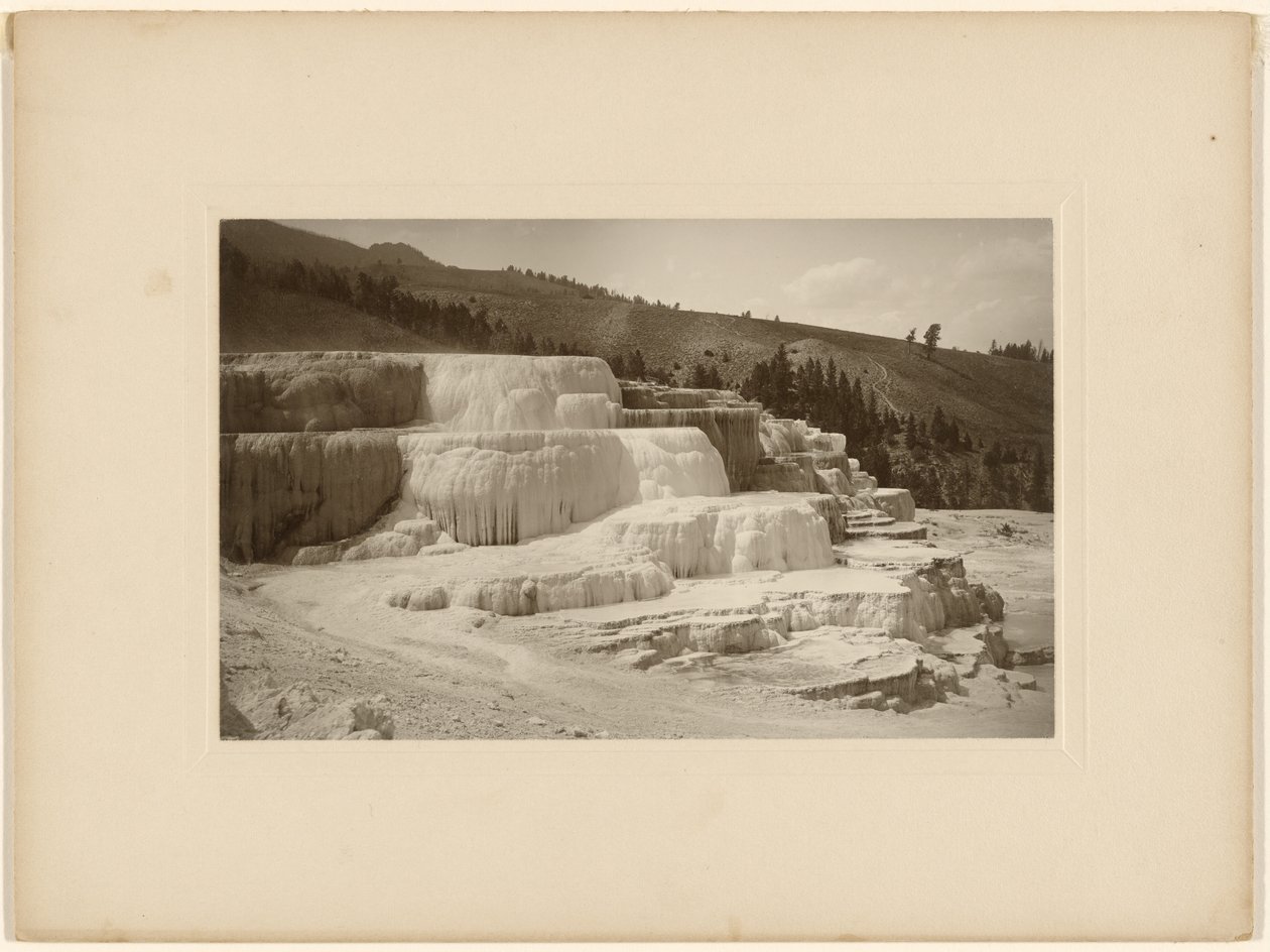 Minerva Terrace da Frank Jay Haynes