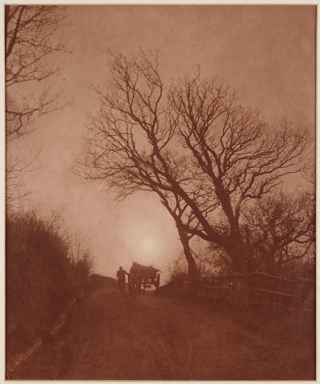 Novembre da Frank Meadow Sutcliffe