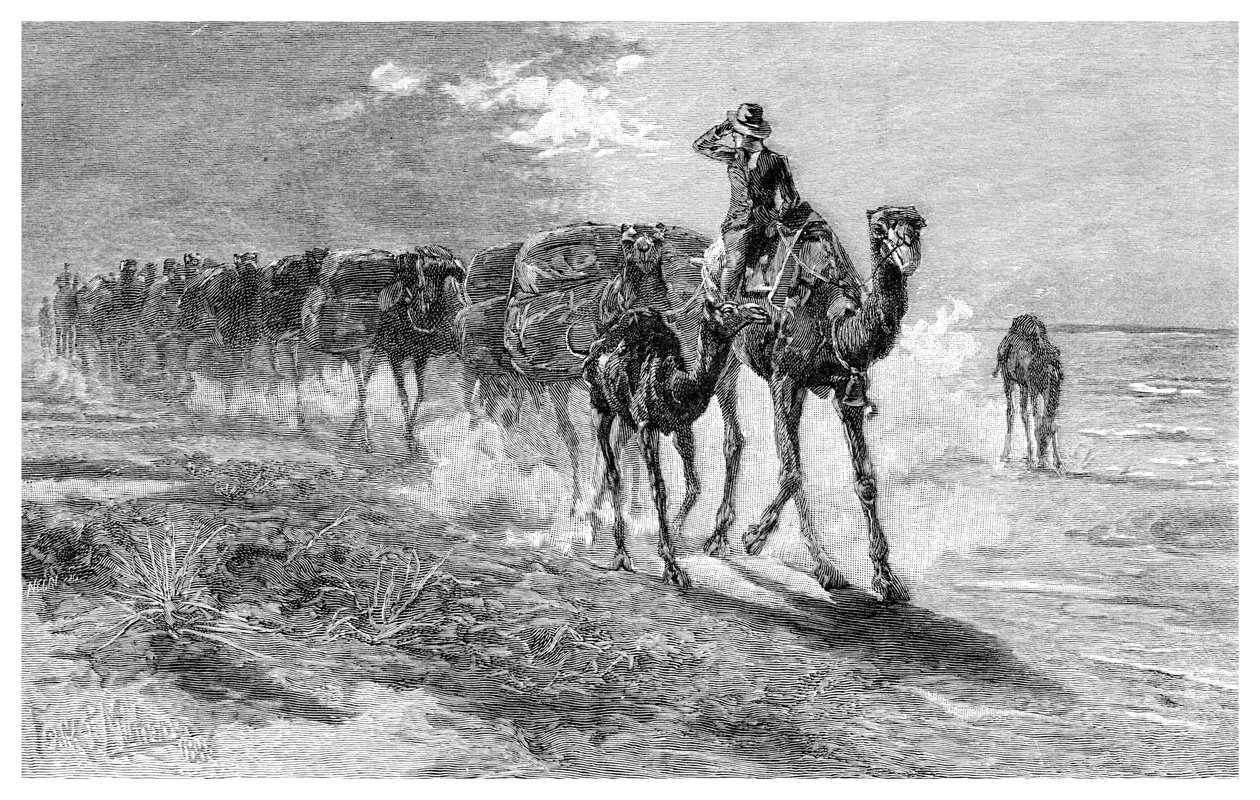 Cammelli che trasportano lana da Frank P. Mahony