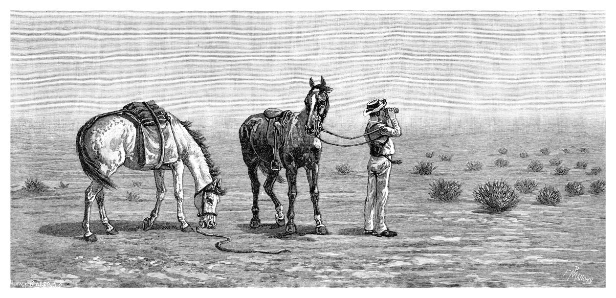 Niente in vista, 1886 da Frank P. Mahony