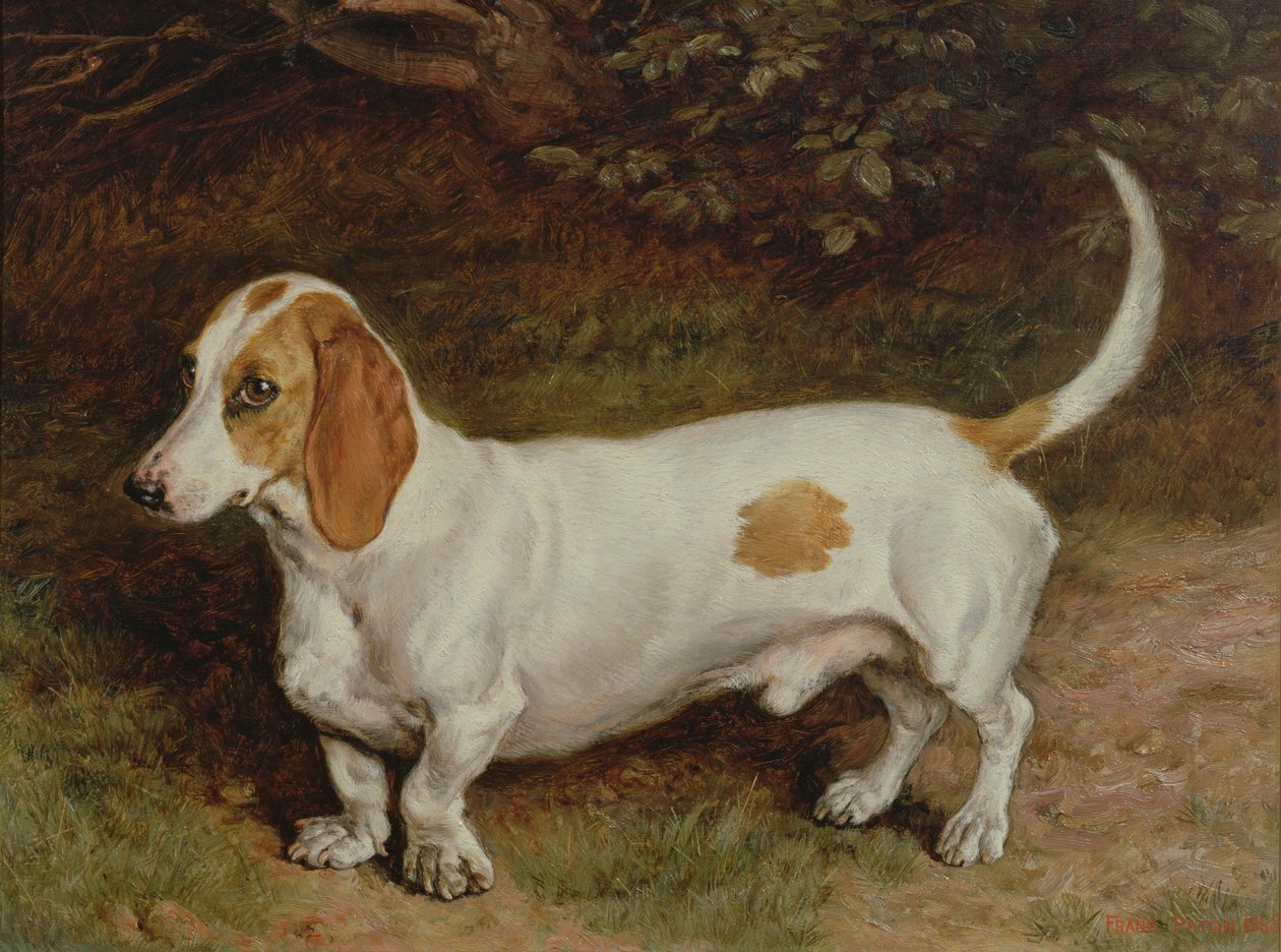 Il mio bassotto preferito, 1885 da Frank Paton