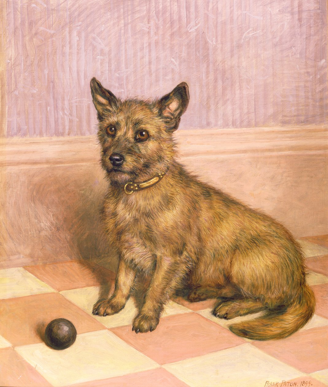 In attesa di giocare, un Cairn terrier con una palla da Frank Paton