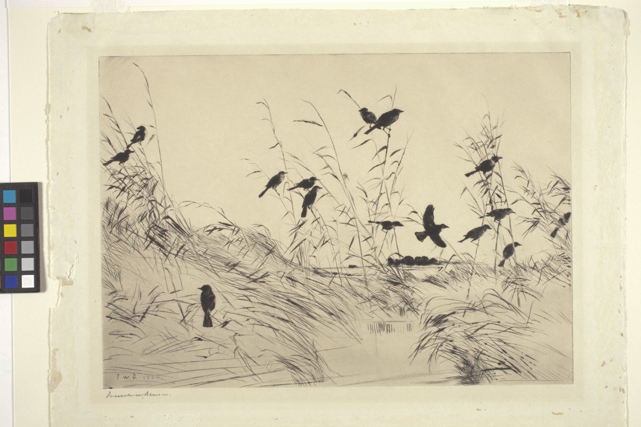 Merli e canne da Frank Weston Benson
