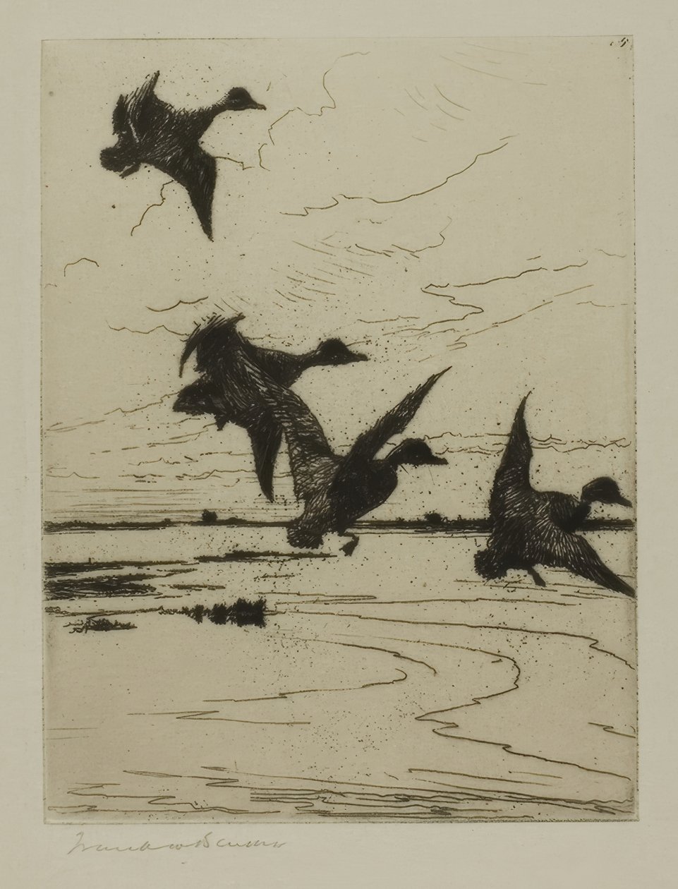 Anatre in Atterraggio da Frank Weston Benson