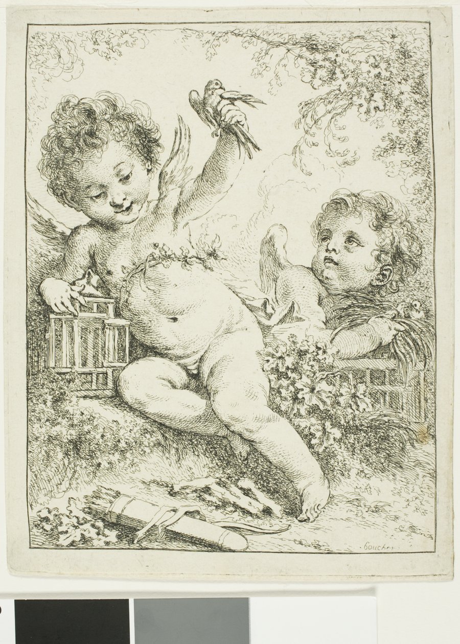 Due putti con un uccello da François Boucher