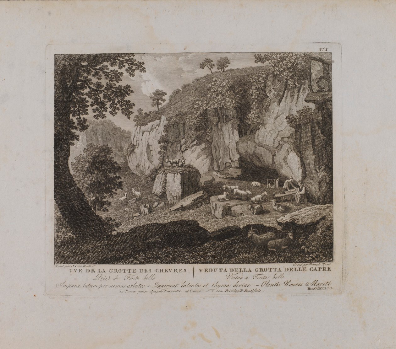 Uve (sic) della Grotte des Chevres (n. X) da François Morel