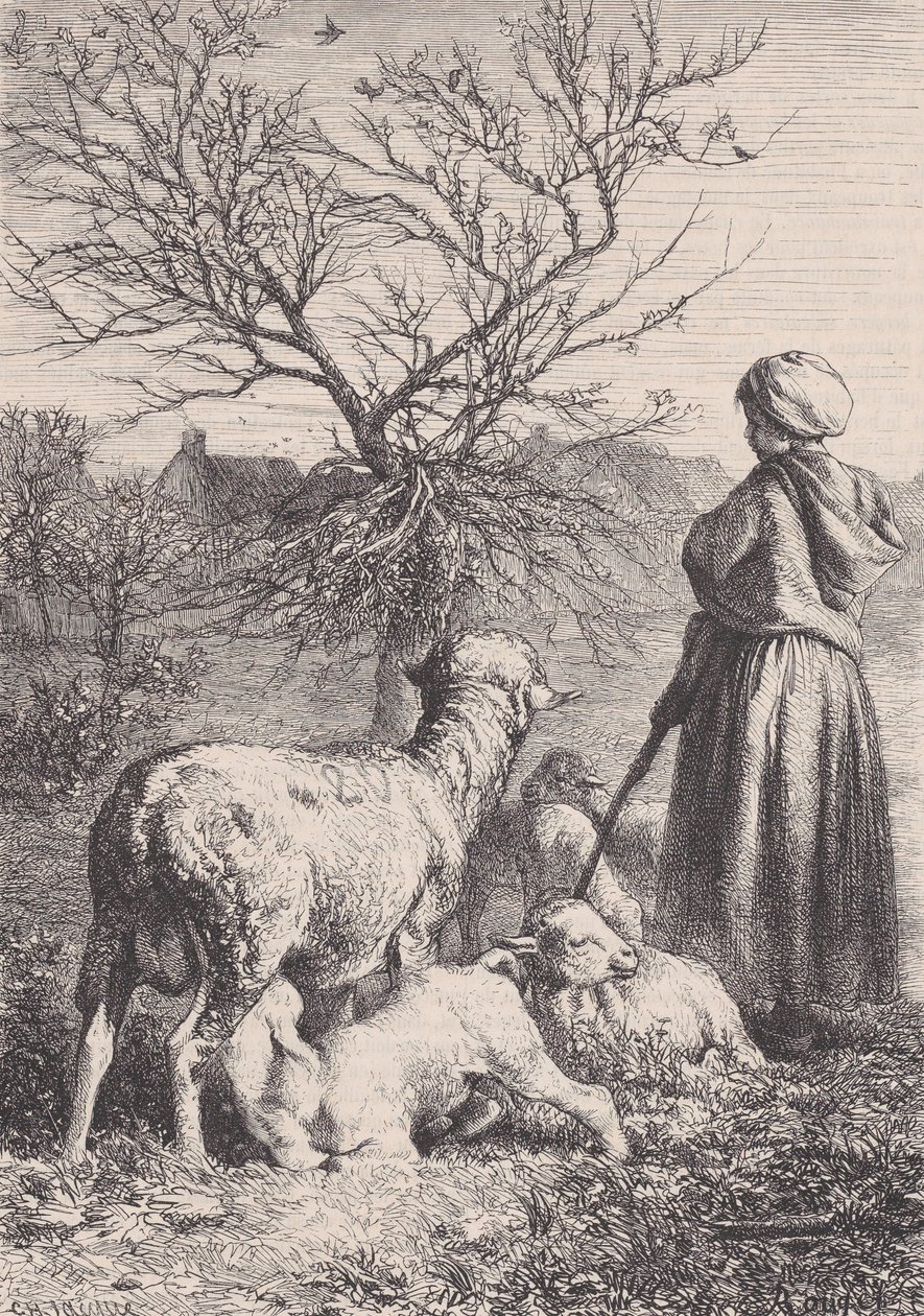 Una pastorella da François Rouget