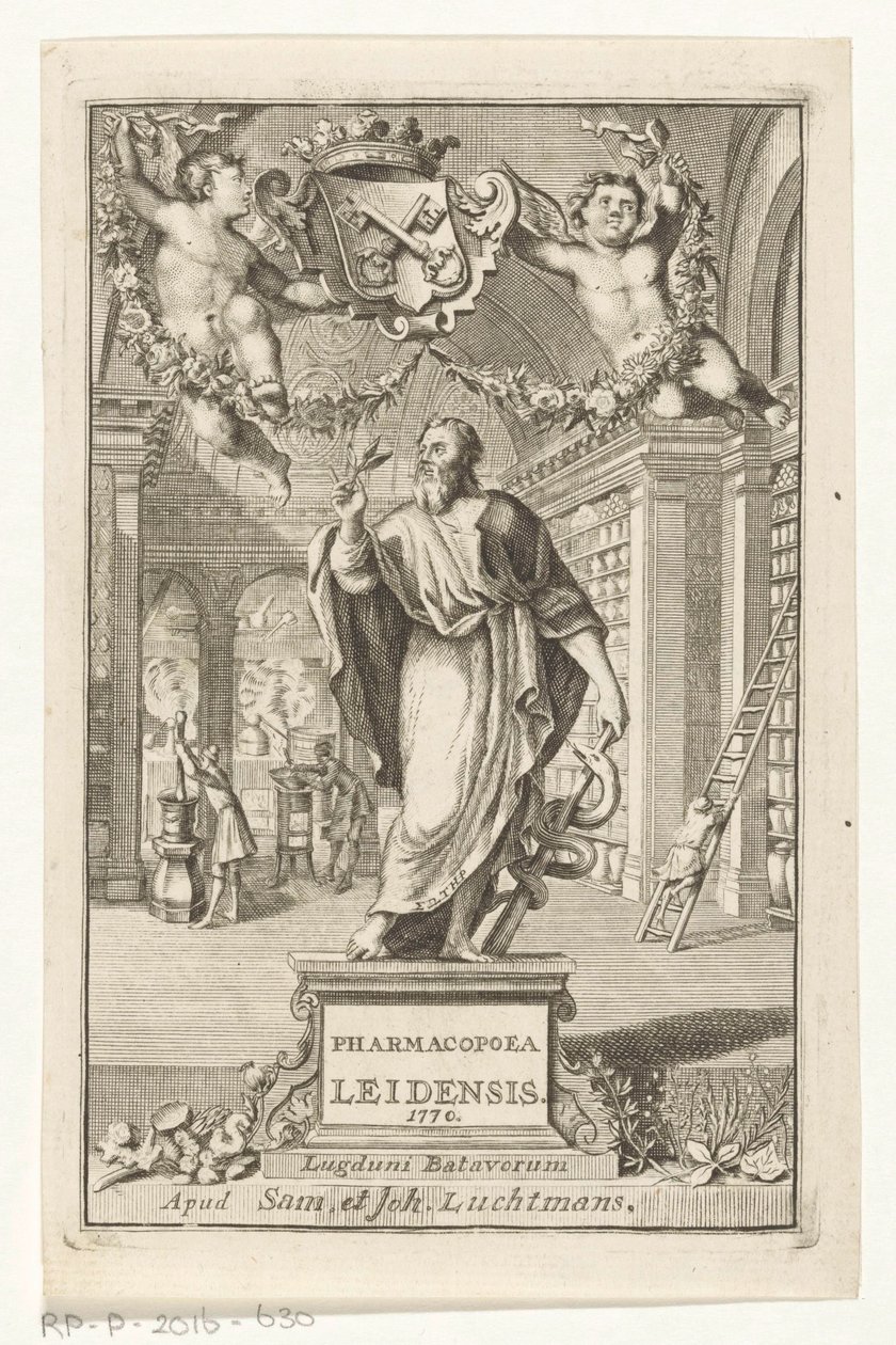 Asclepio da François van Bleyswijck