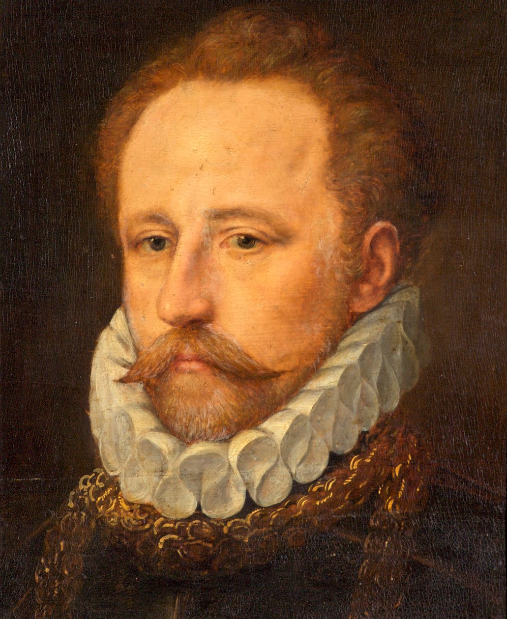 Ritratto di un gentiluomo barbuto in armatura, c.1570 da Frans I Pourbus