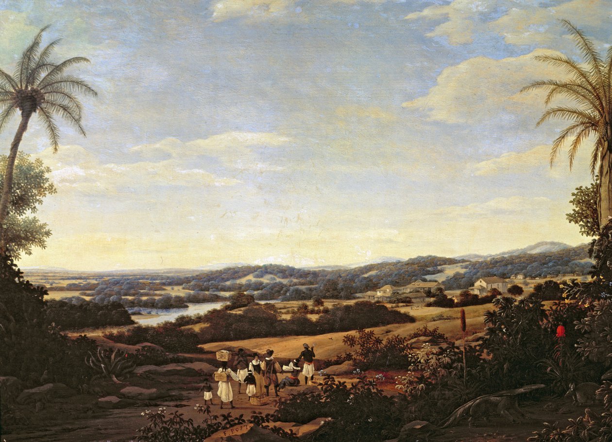 Paesaggio brasiliano con una piantagione da Frans Post