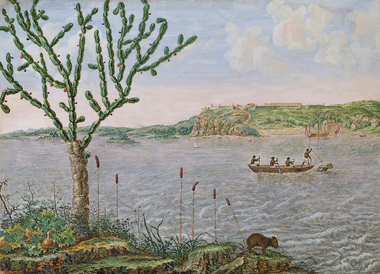 Veduta di Fort Maurice sul Rio San Francisco da Frans Post