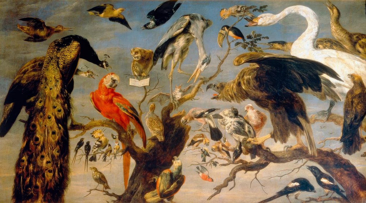 Il concerto degli uccelli da Frans Snyders or Snijders