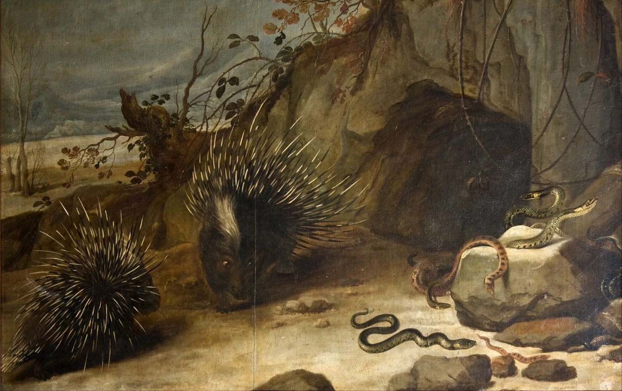 Istrici e vipere da Frans Snyders or Snijders