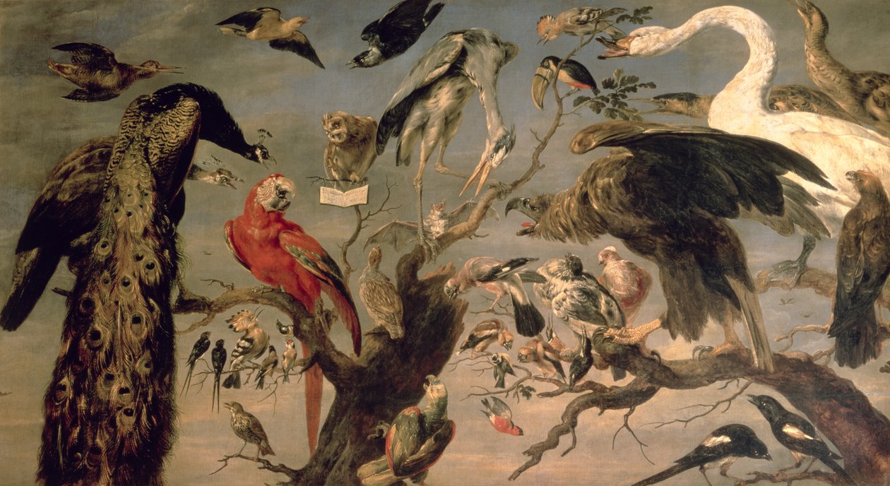 Il concerto degli uccelli da Frans Snyders or Snijders