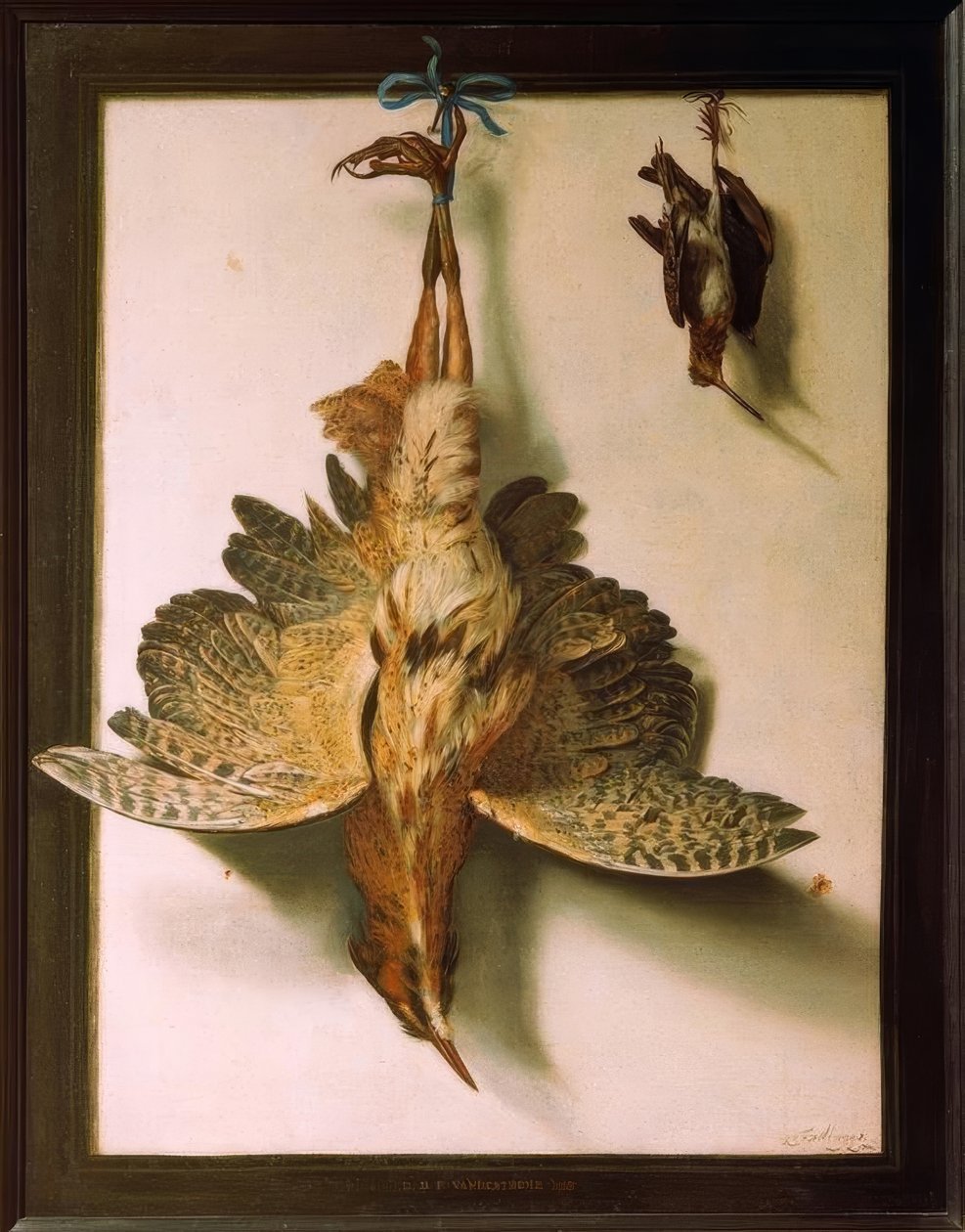 Trompe d’oeil con uccelli morti da Frans Cuyck van Meyerop