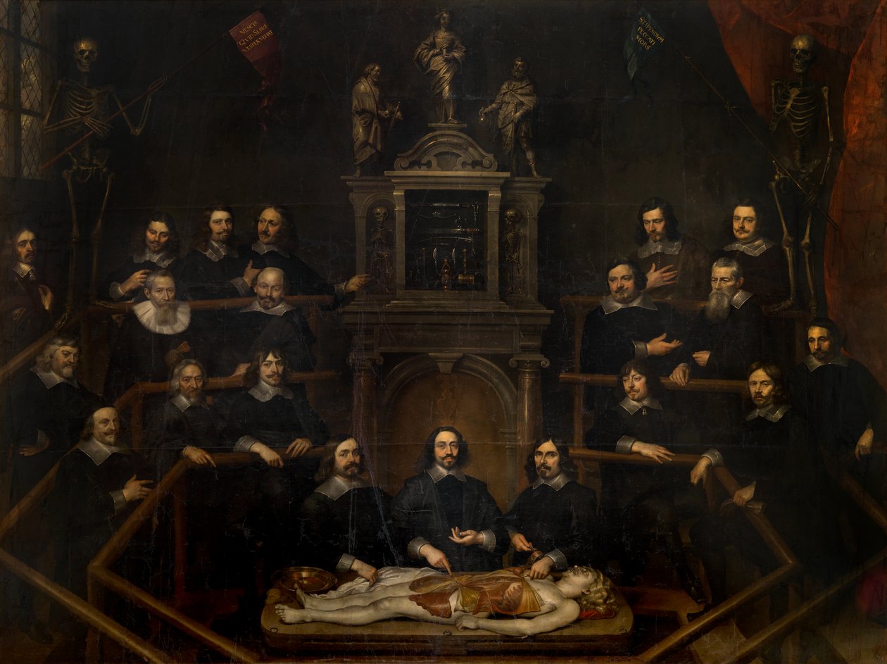 La lezione di anatomia del dottor Joannes van Buyten nella sala del chirurgo di Anversa da Frans Denys