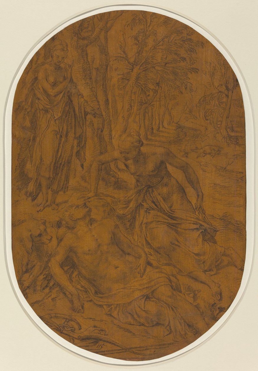 Diana ed Endimione da Frans Floris I