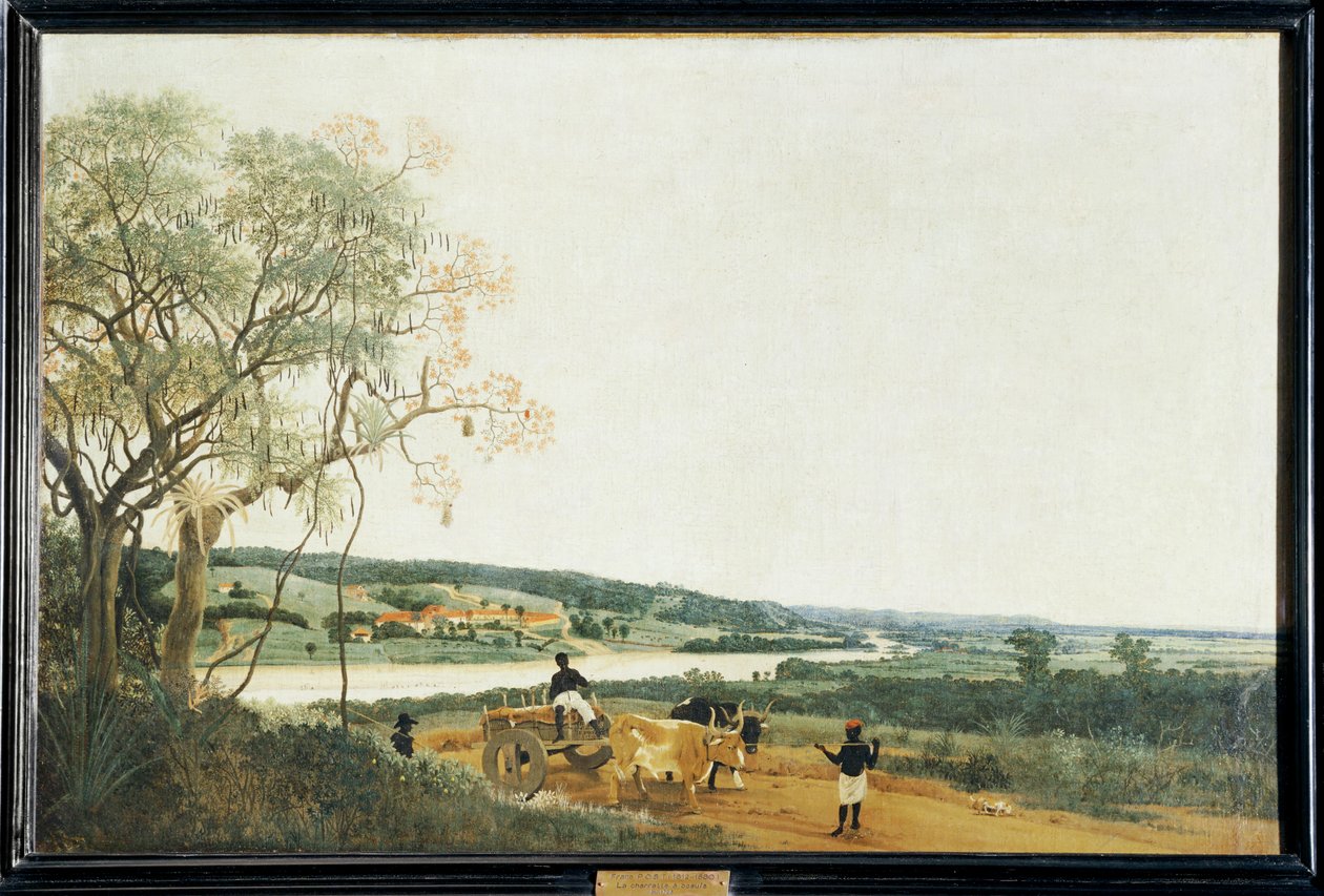 Il carro a buoi, il paesaggio brasiliano ... da Frans Jansz Post