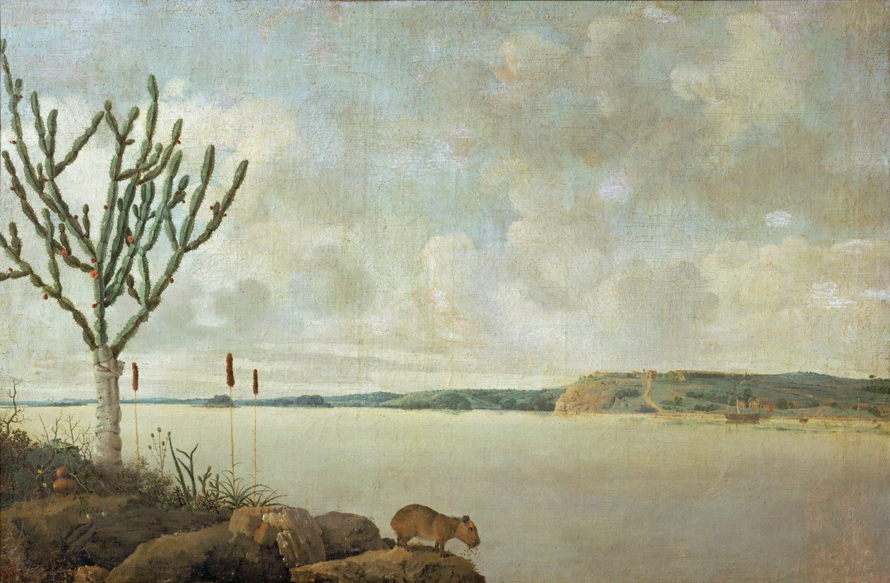 Le Rio Sao Francisco e il Fort Maurice, Brasile ... da Frans Jansz Post