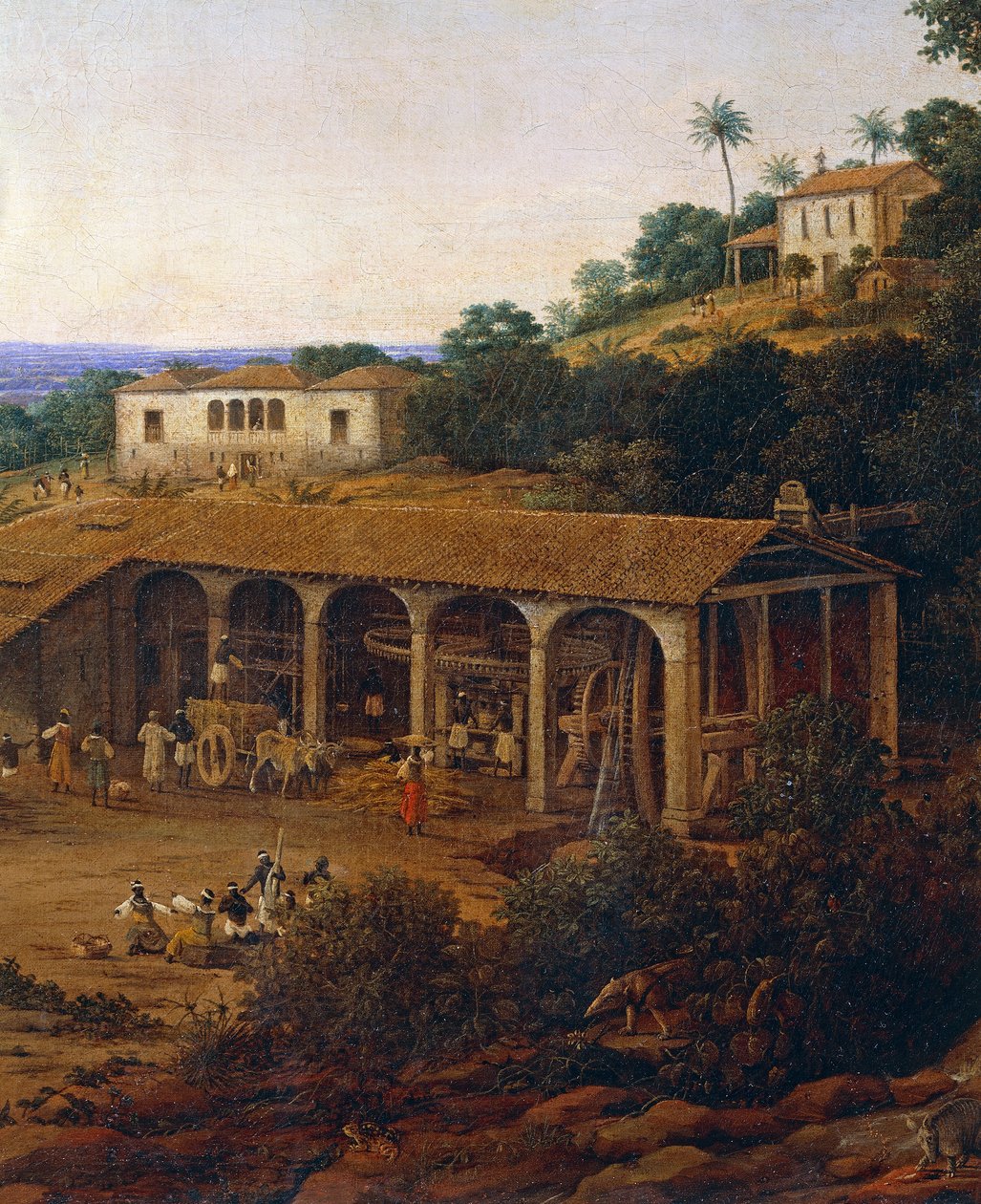 Mulini da zucchero in Brasile da Frans Post