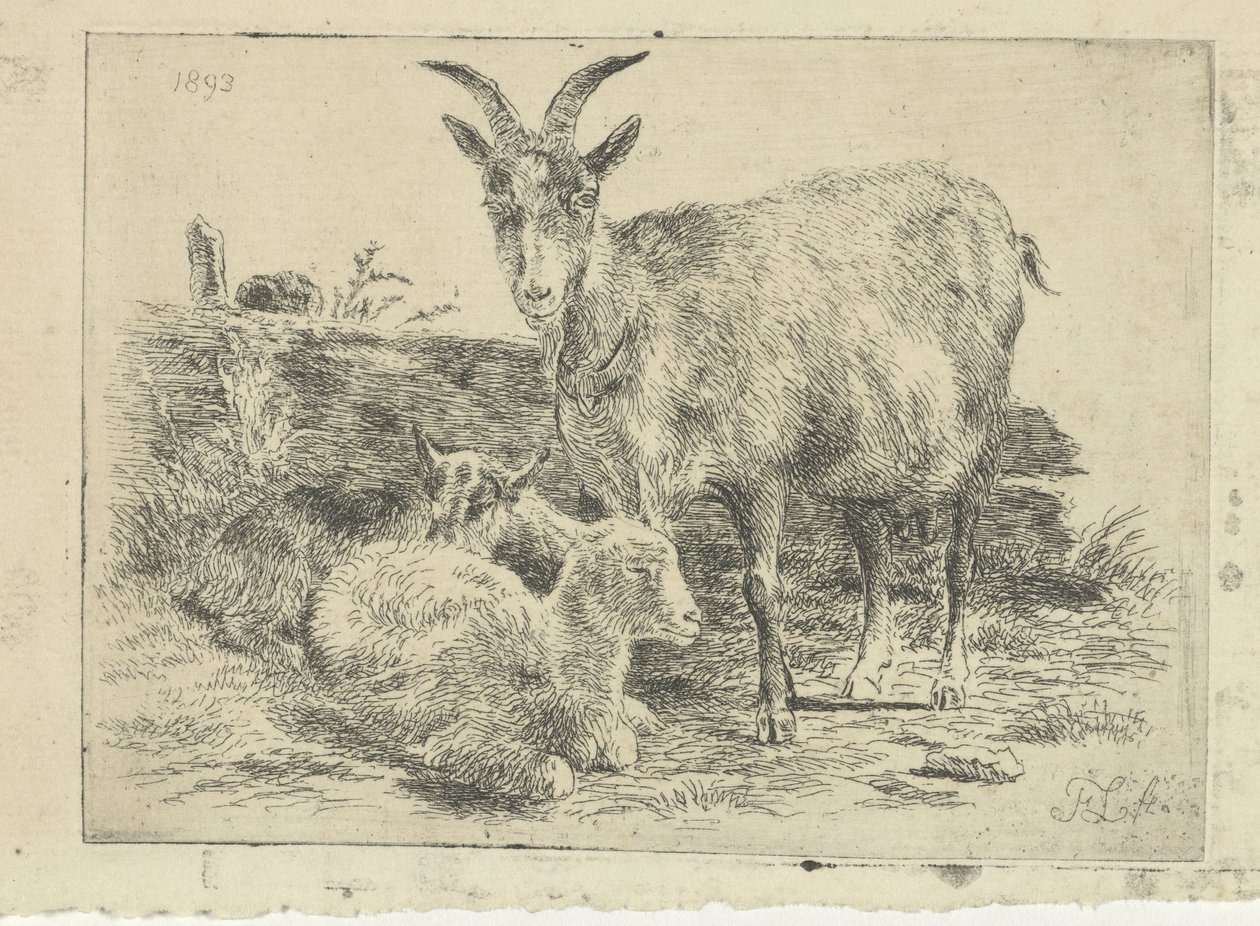 Capra con cuccioli da Frans Lebret
