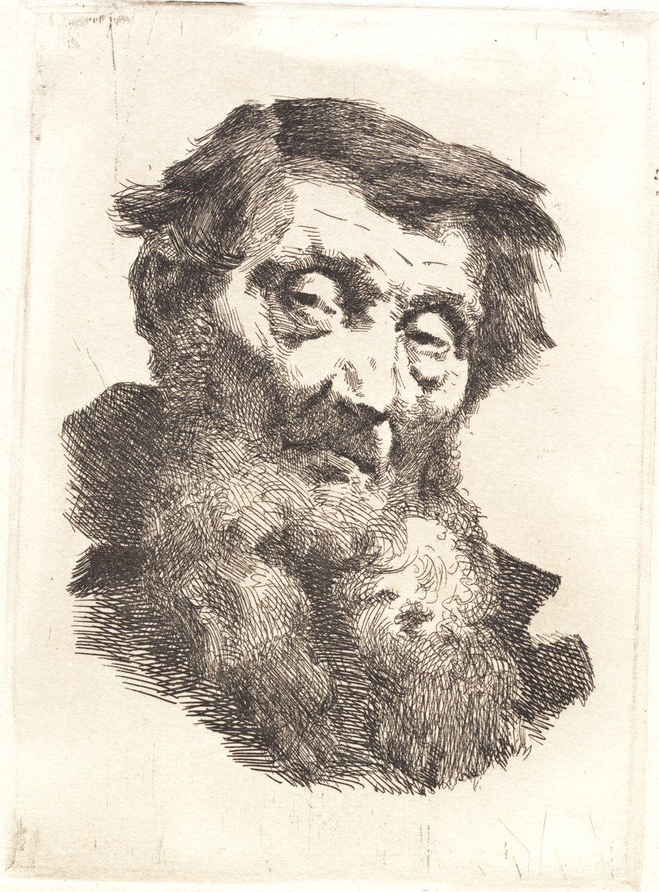 Vecchio con barba grigia divisa in due da Frans Schwartz
