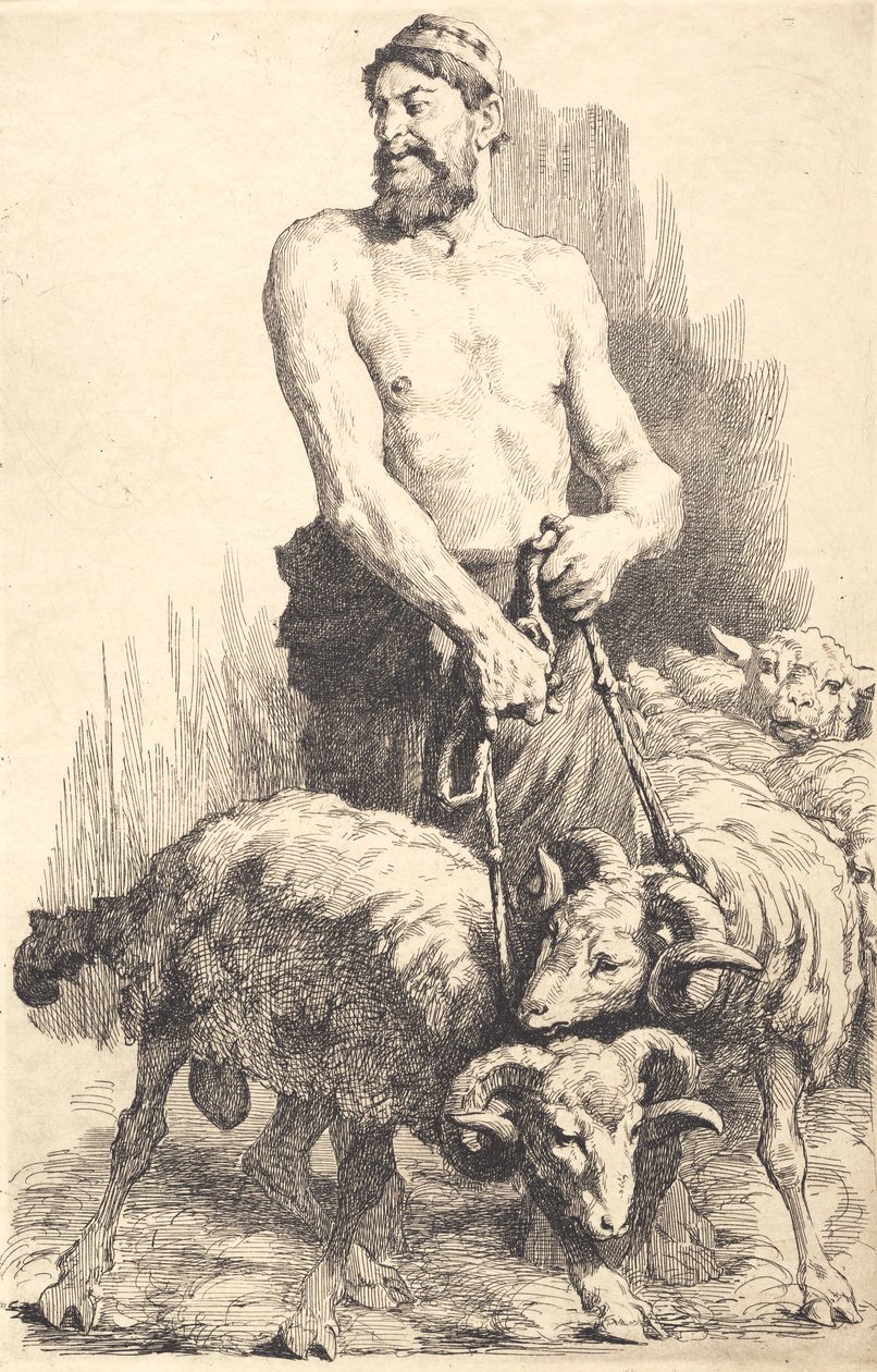 Il pastore con i montoni da Frans Schwartz