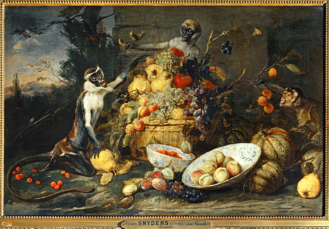 Tre scimmie, ladre di frutta ... da Frans Snyders