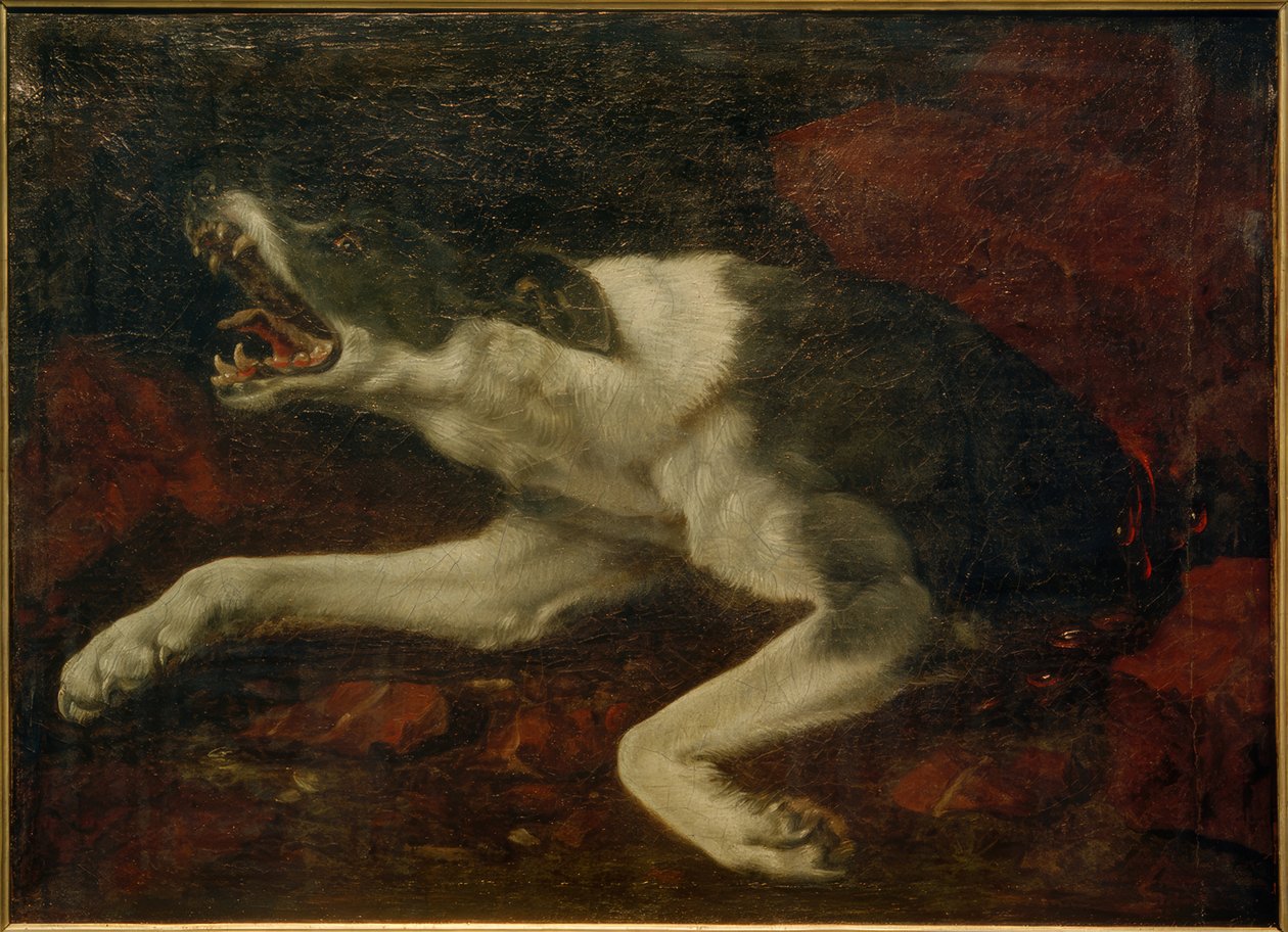 Cane ferito da Frans Snyders or Snijders