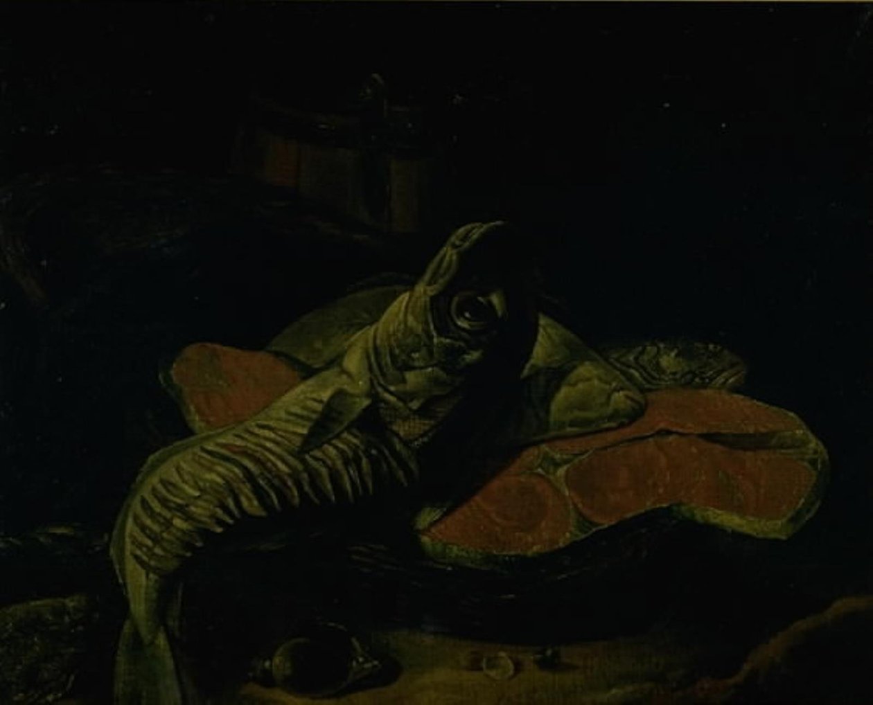 Pesce da Frans van