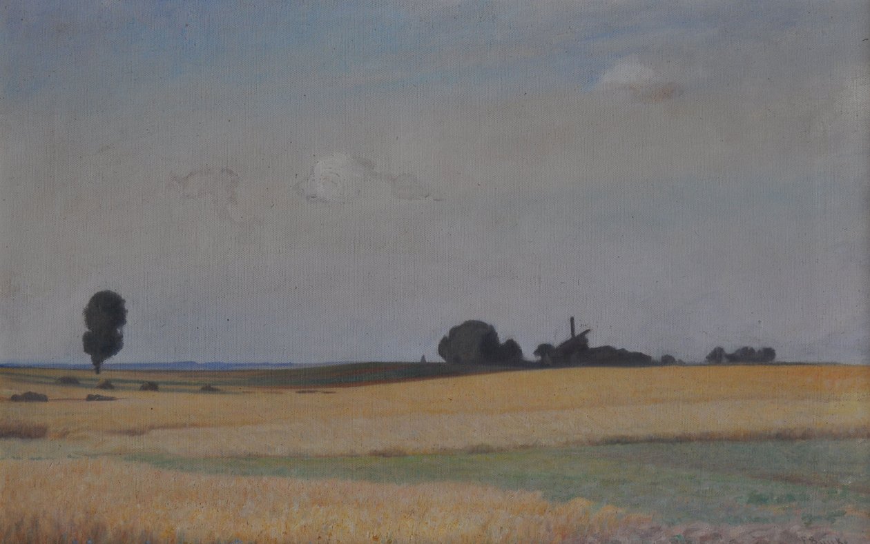 Paesaggio del Meclemburgo con mulino a vento da Franz Bunke