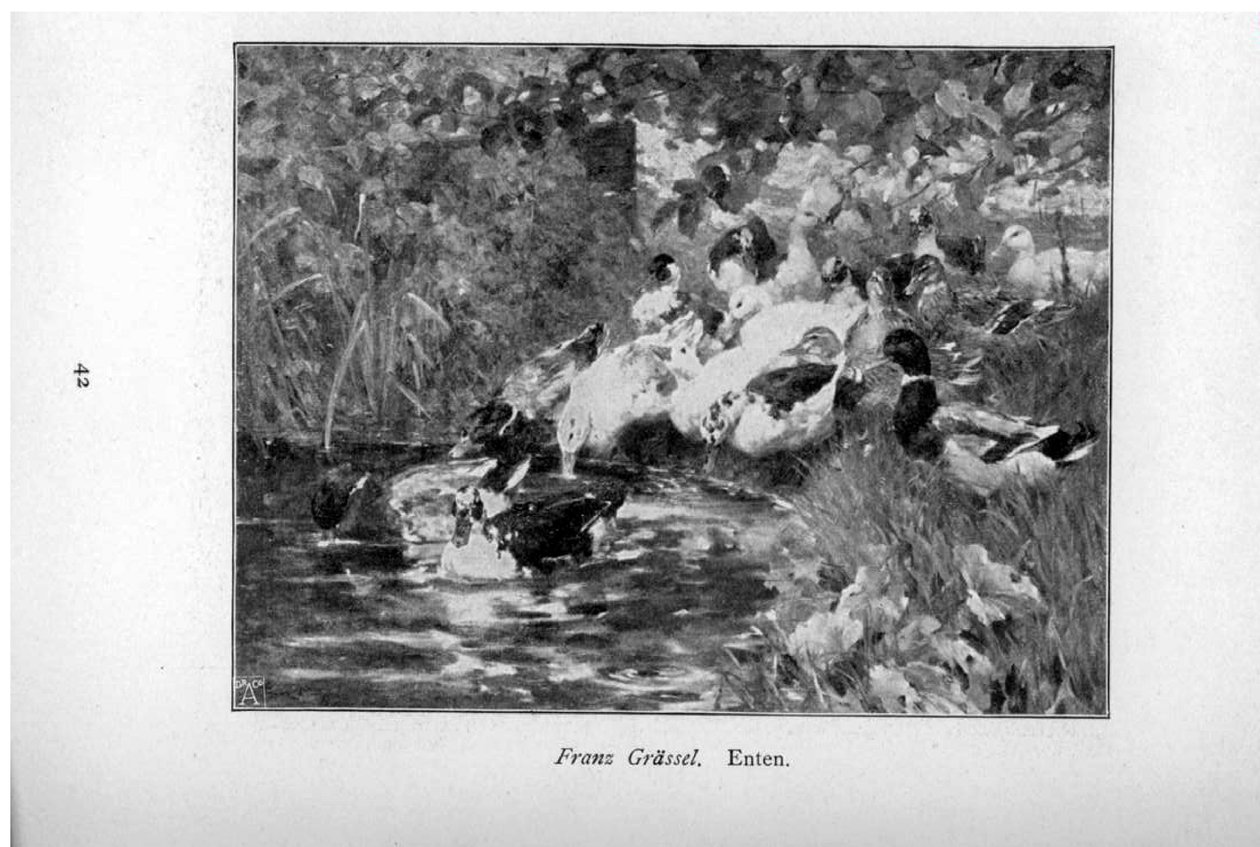 Anatre da Franz Grassel